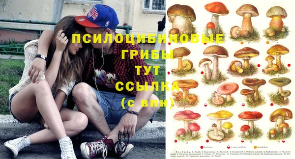 синтетический гашиш Волосово