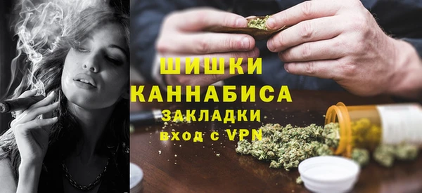 тгк Вяземский