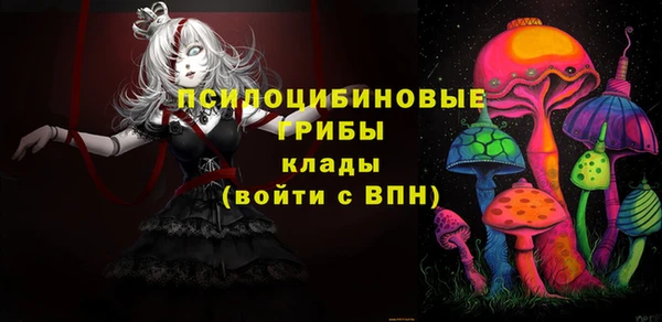ГАЛЛЮЦИНОГЕННЫЕ ГРИБЫ Волоколамск