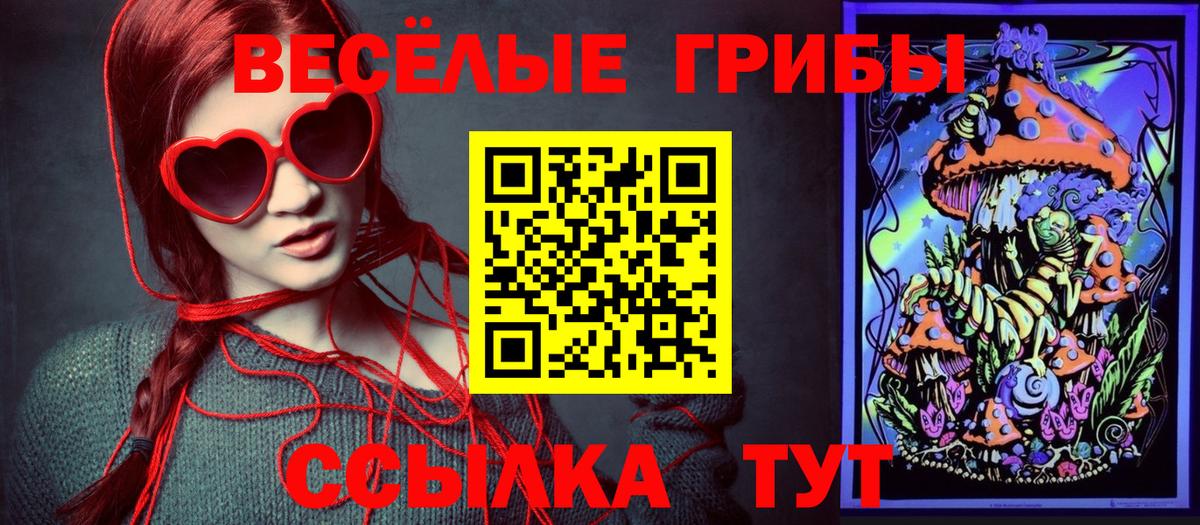 Железногорск  Псилоцибиновые грибы Magic Shrooms  Вход с VPN  Псилоцибиновые грибы Magic Shrooms 